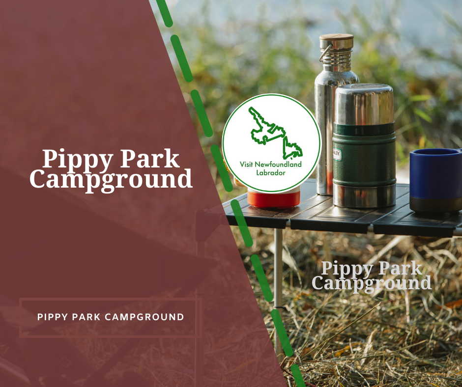 Pippy Park Campground
3 Family Campgrounds for The Best Summer Fun