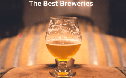 The Best Breweries to Have a Drink in St John's