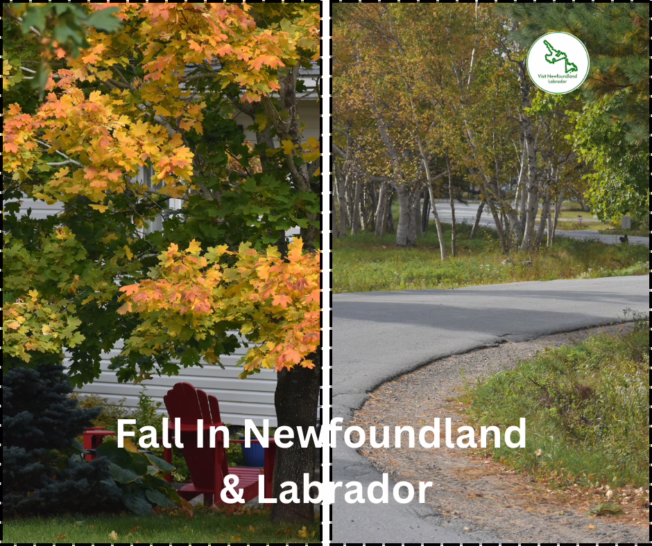 10 Must See Fall Foliage Spots in Newfoundland and Labrador