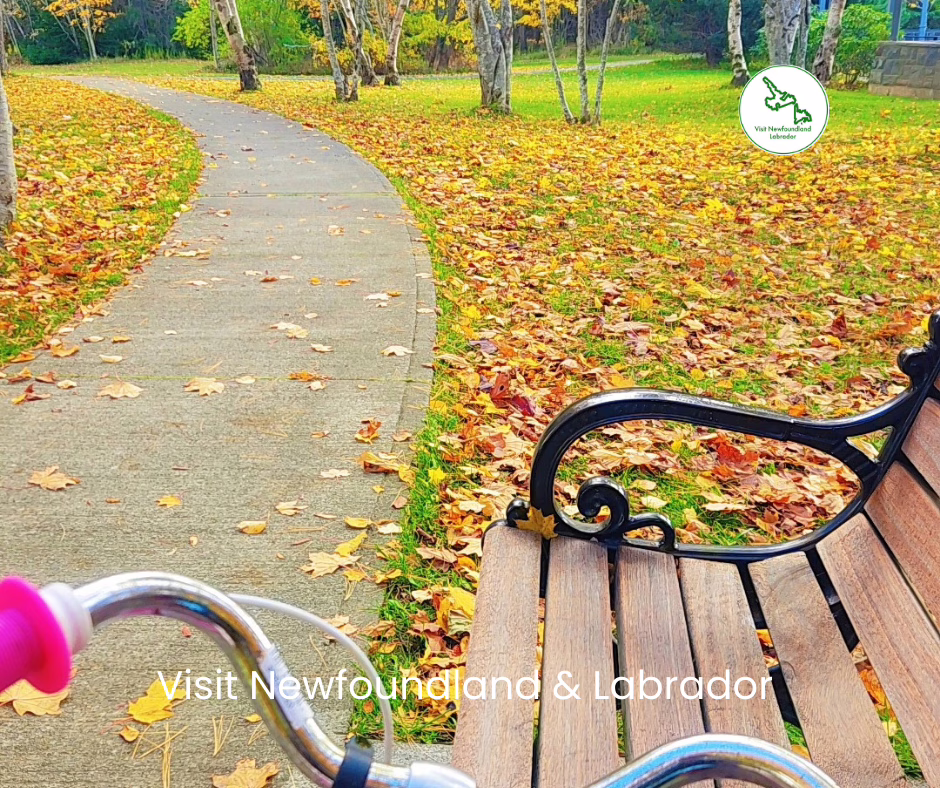 10 Must See Fall Foliage Spots in Newfoundland and Labrador