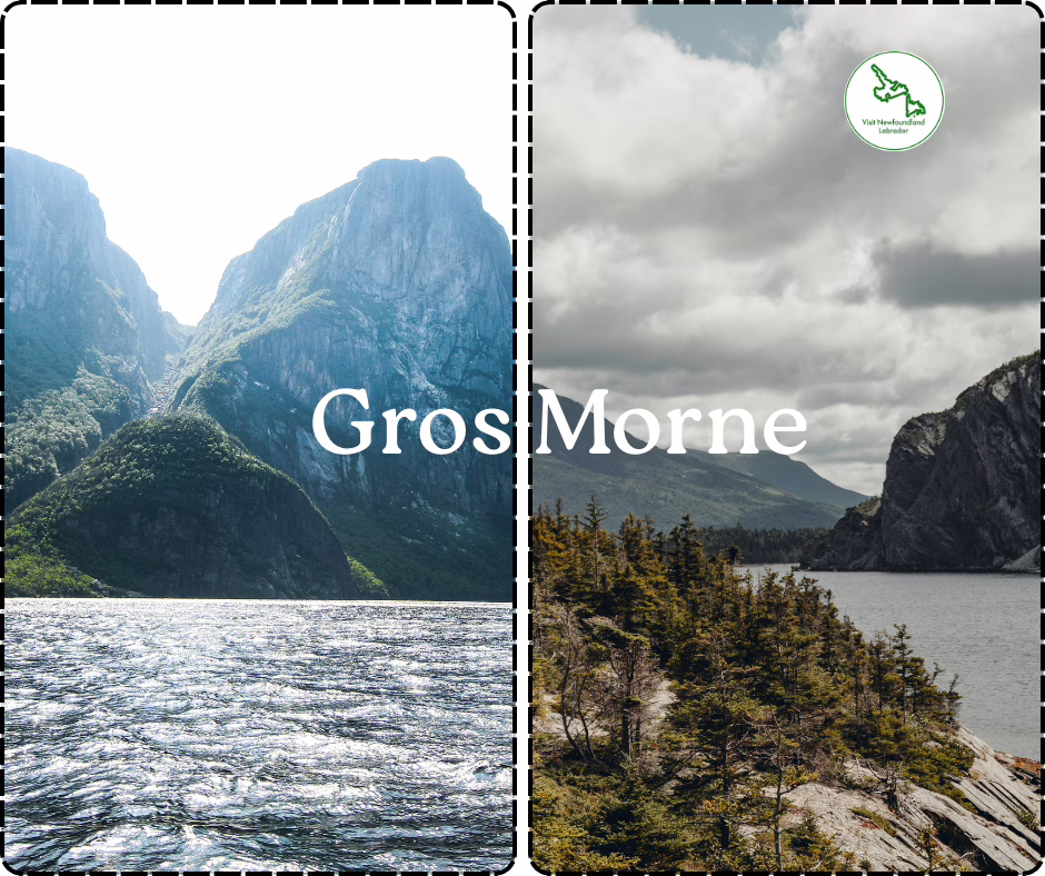 Things to do in Gros Morne National Park for First Time Visitors
Top-Rated Tourist Attractions in Gros Morne National Park