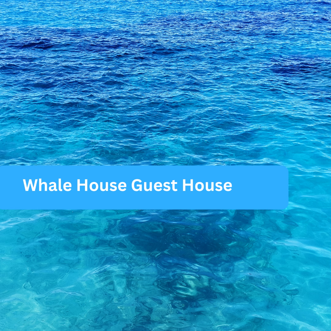 Whale House Guest House