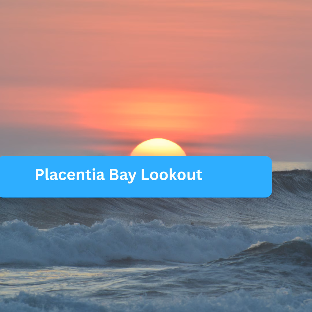 Placentia Bay Lookout