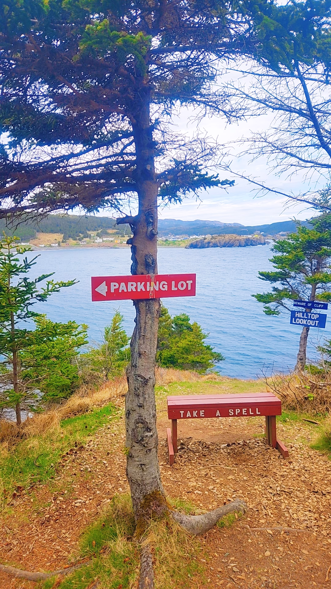 Chance Cove Coastal Path