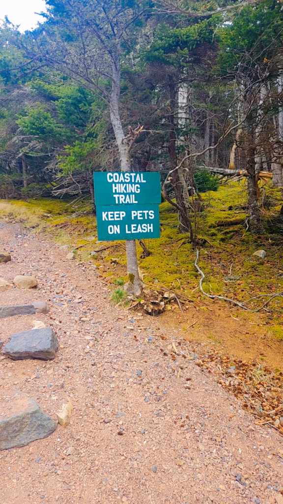 Chance Cove Coastal Trail