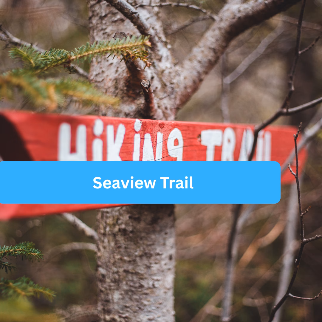 Seaview Trail