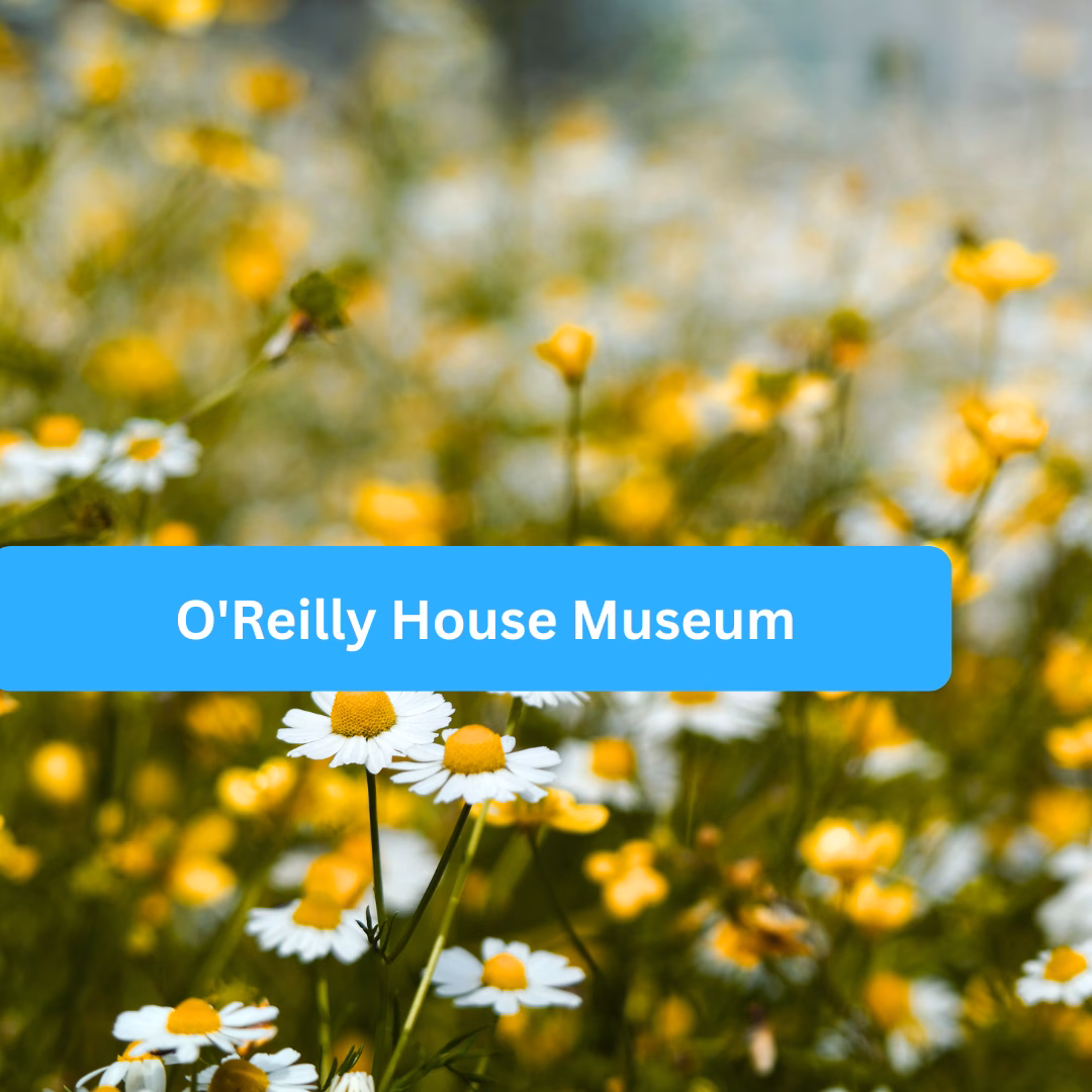 O’Reilly House Museum