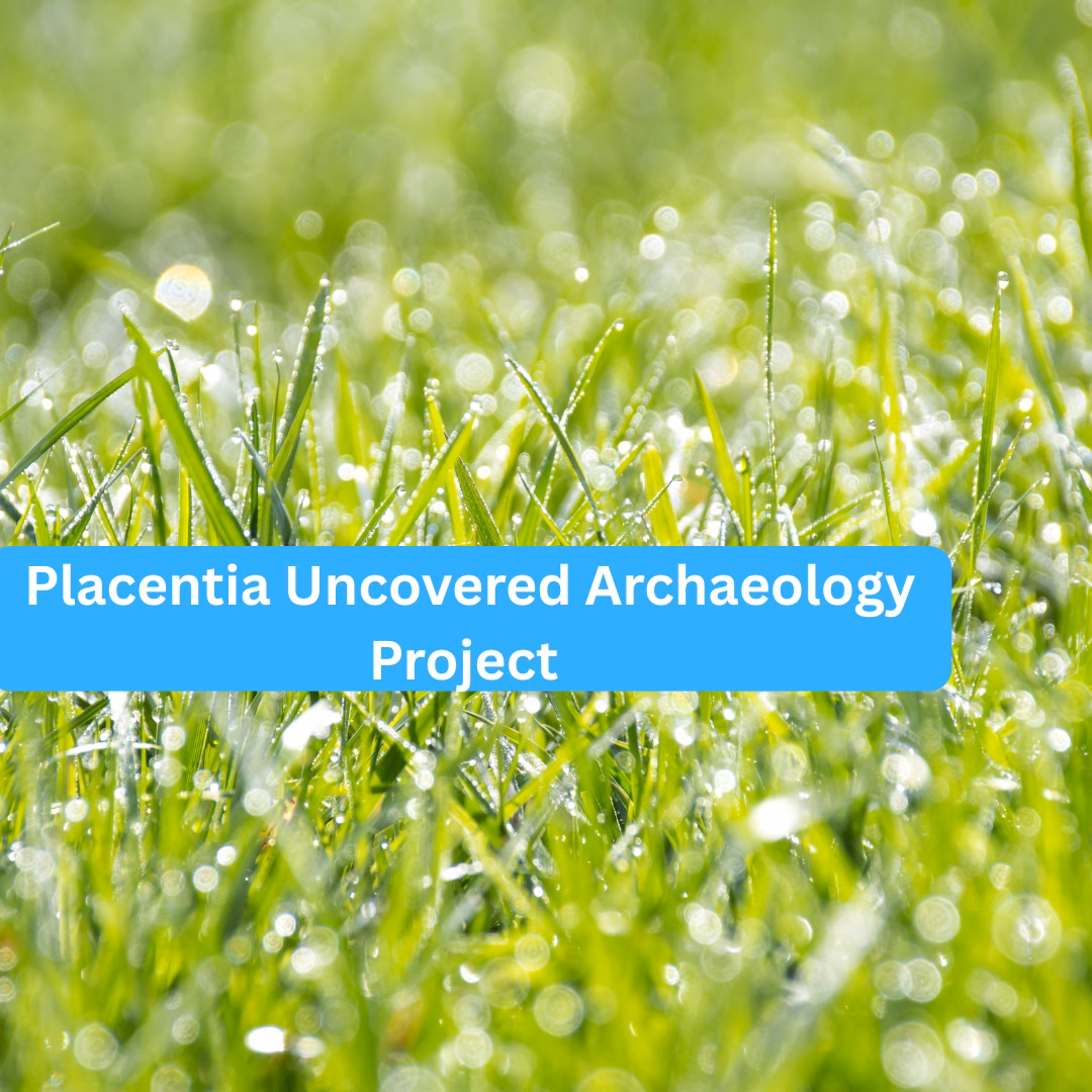 Placentia Uncovered Archaeology Project