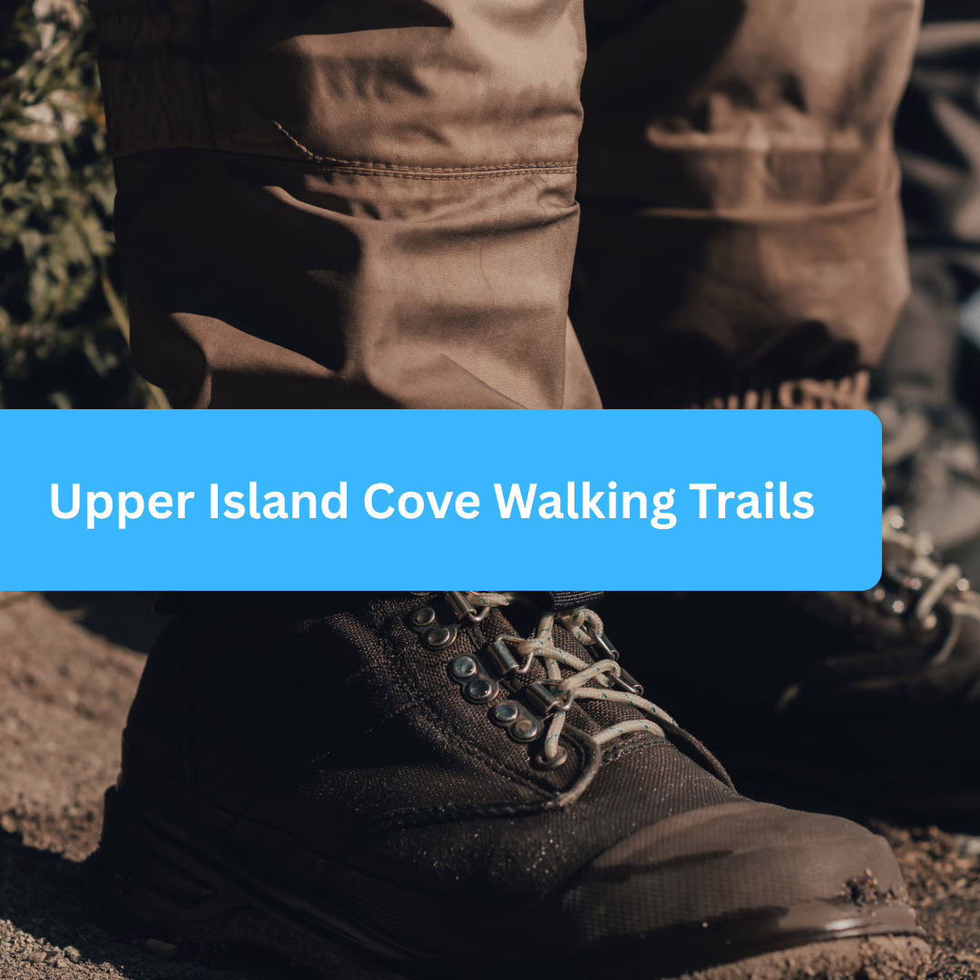 Upper Island Cove Walking Trails