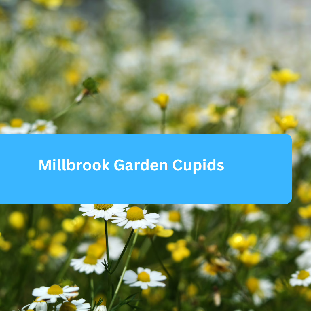 Millbrook Garden Cupids