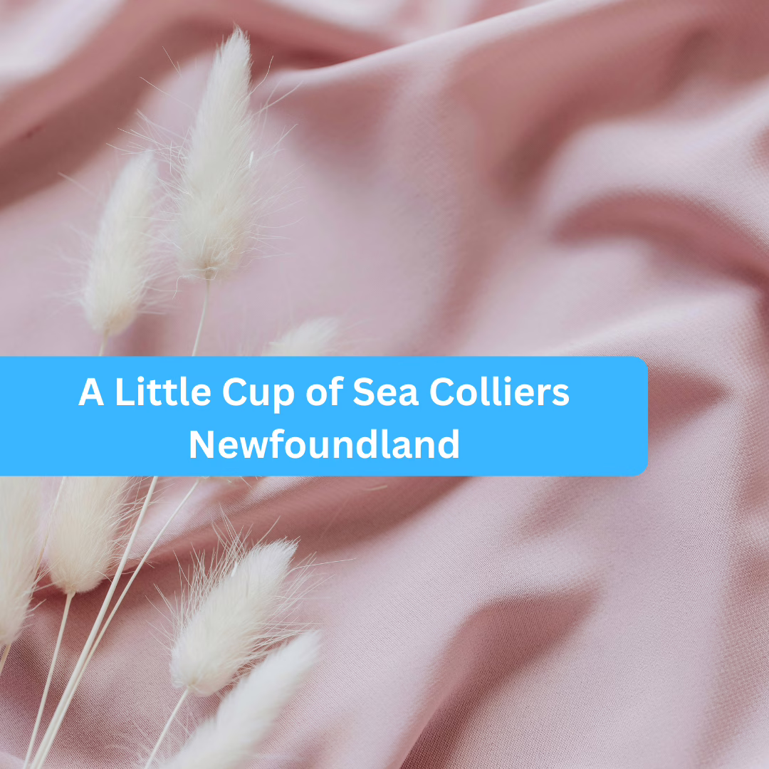 A Little Cup of Sea Colliers Newfoundland