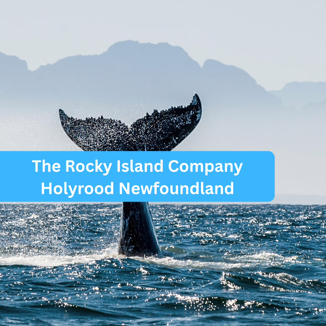 The Rocky Island Company Holyrood Newfoundland