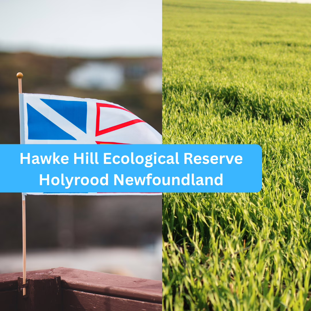 Hawke Hill Ecological Reserve Holyrood Newfoundland