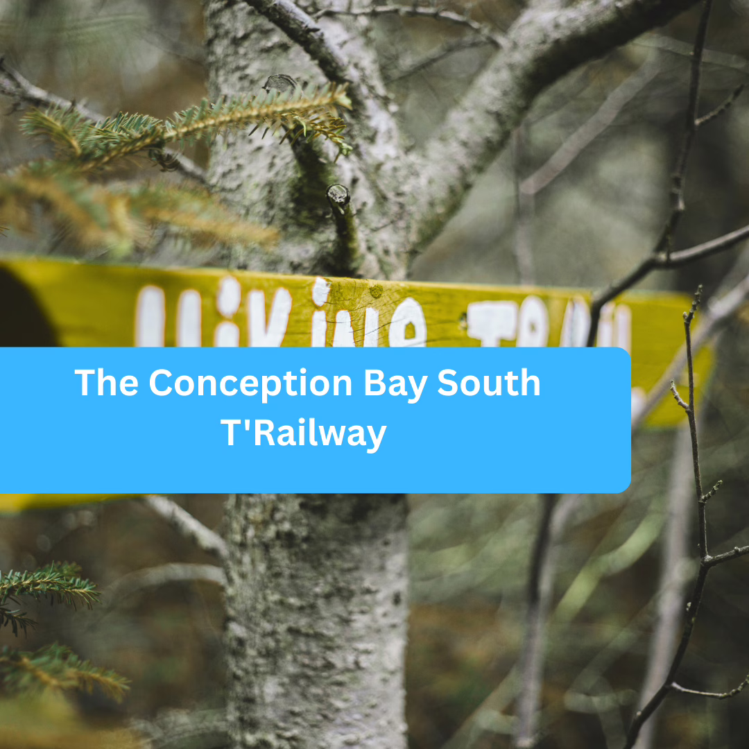 The Conception Bay South T’Railway