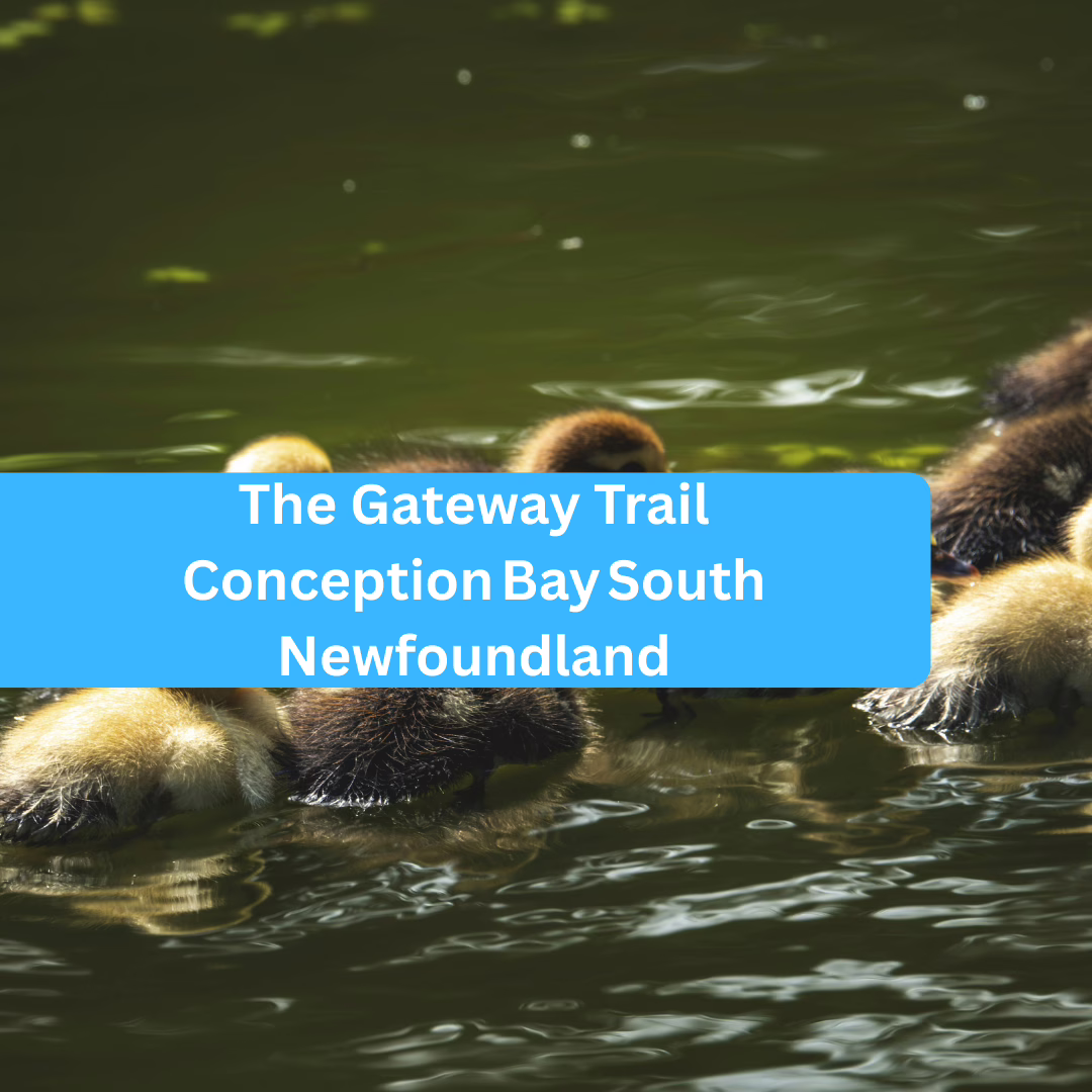 The Gateway Trail Conception Bay South Newfoundland