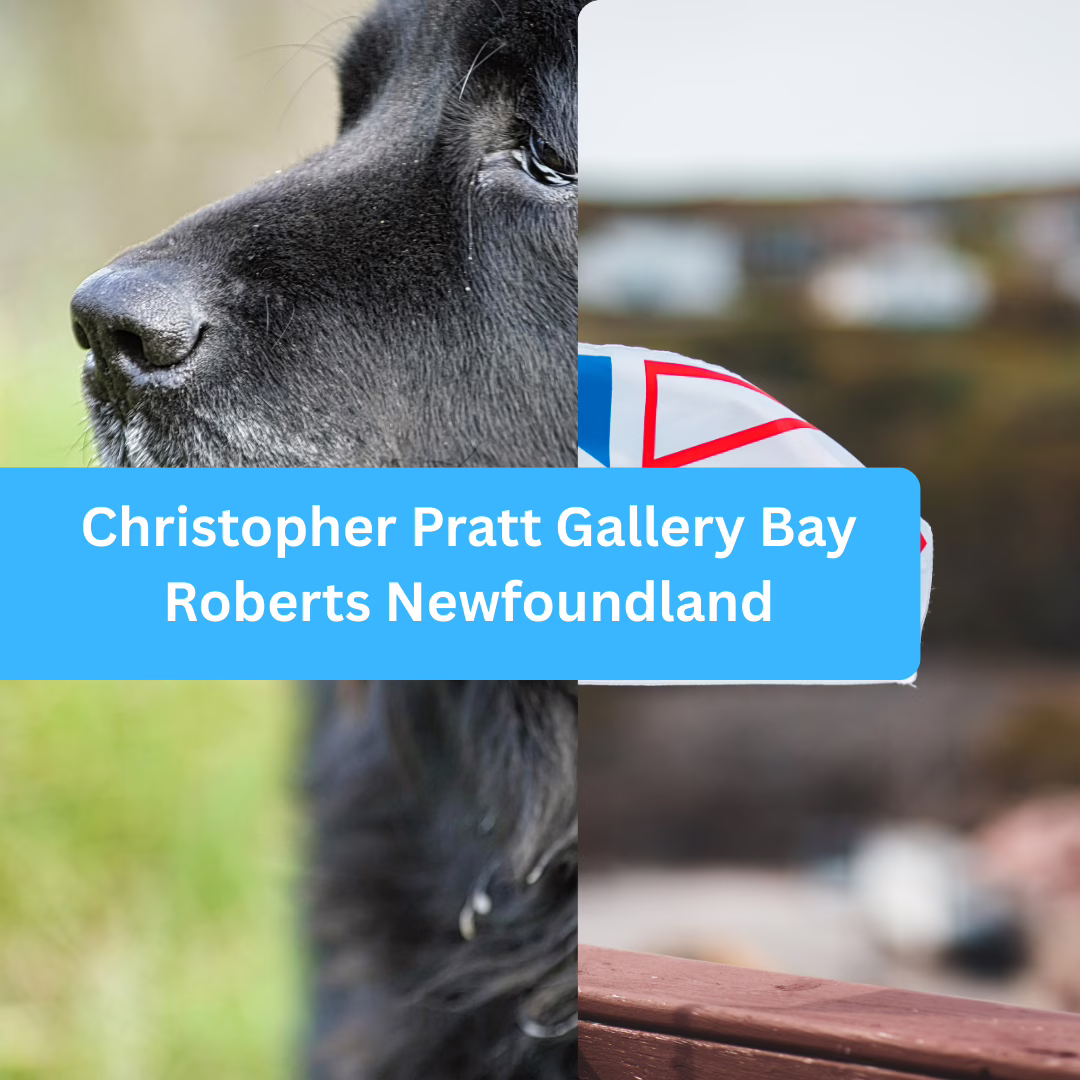 Christopher Pratt Gallery Bay Roberts Newfoundland