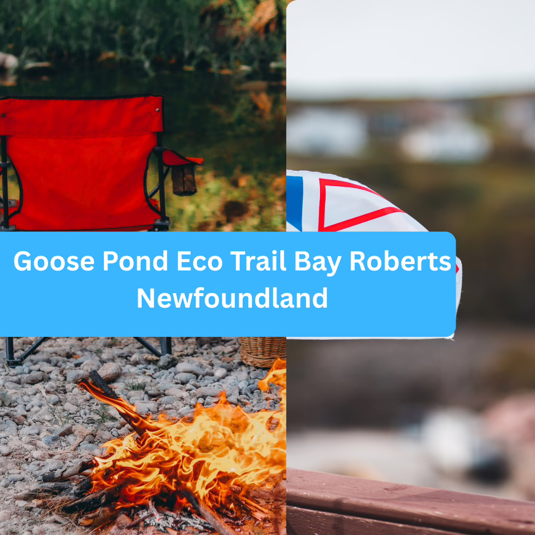 Goose Pond Eco Trail Bay Roberts Newfoundland