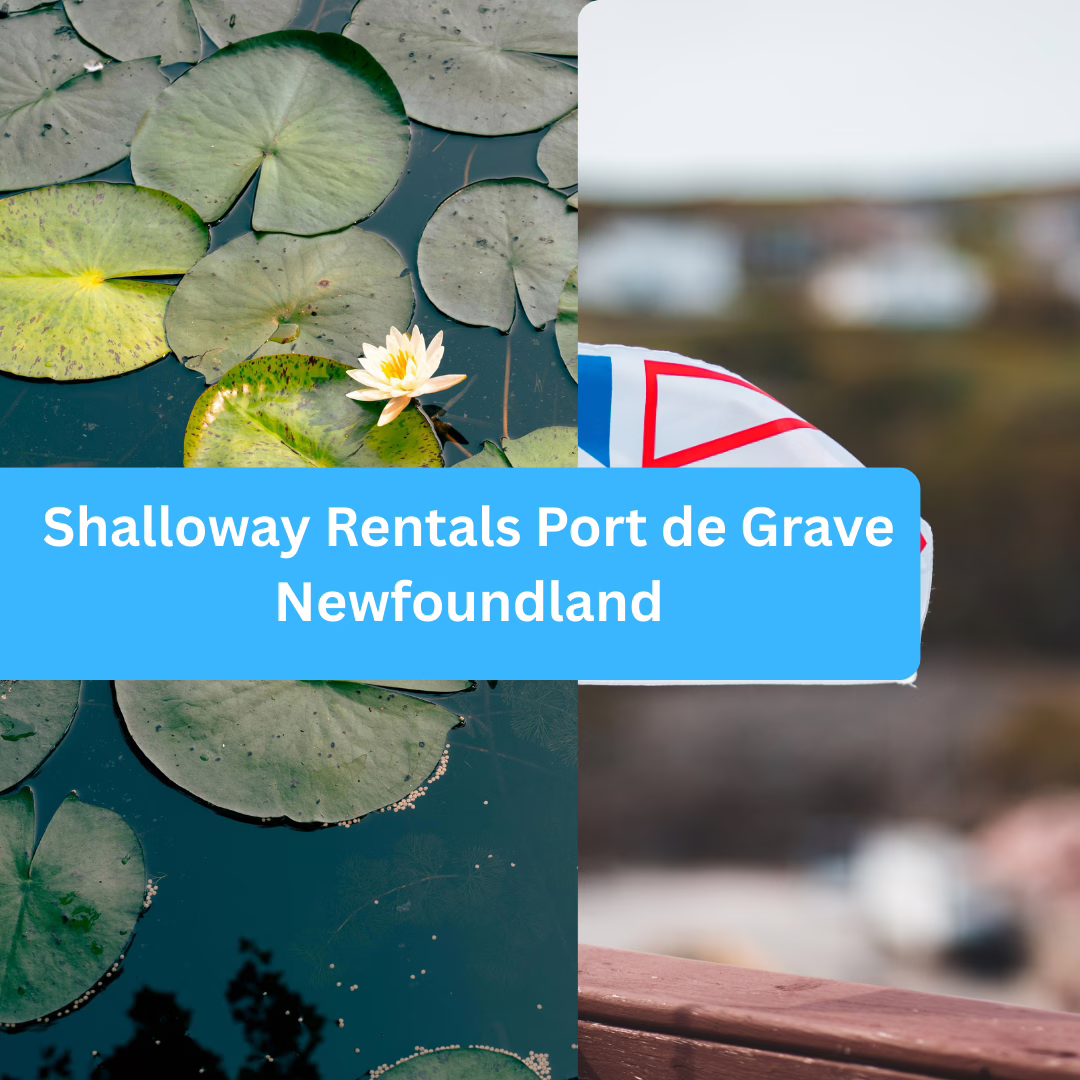 Shalloway Rentals Port de Grave Newfoundland