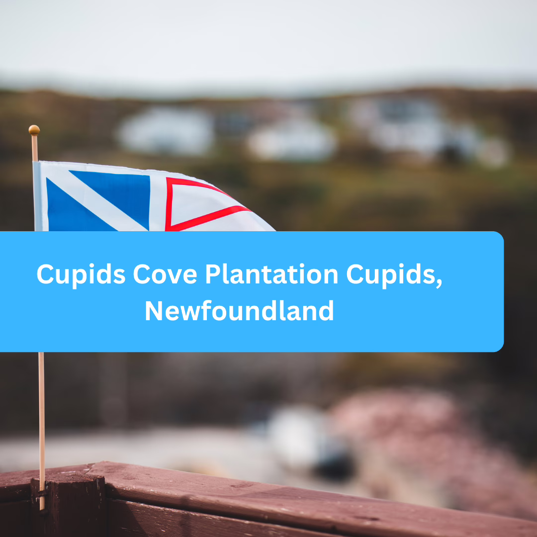 Cupids Cove Plantation