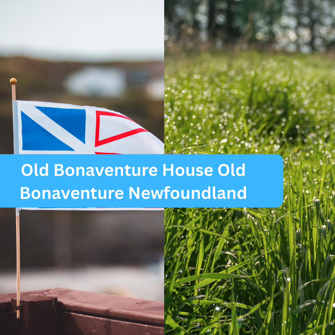 Old Bonaventure House Old Bonaventure Newfoundland