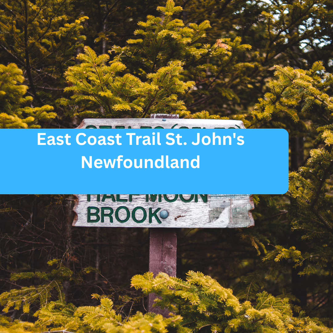 East Coast Trail St. John’s Newfoundland