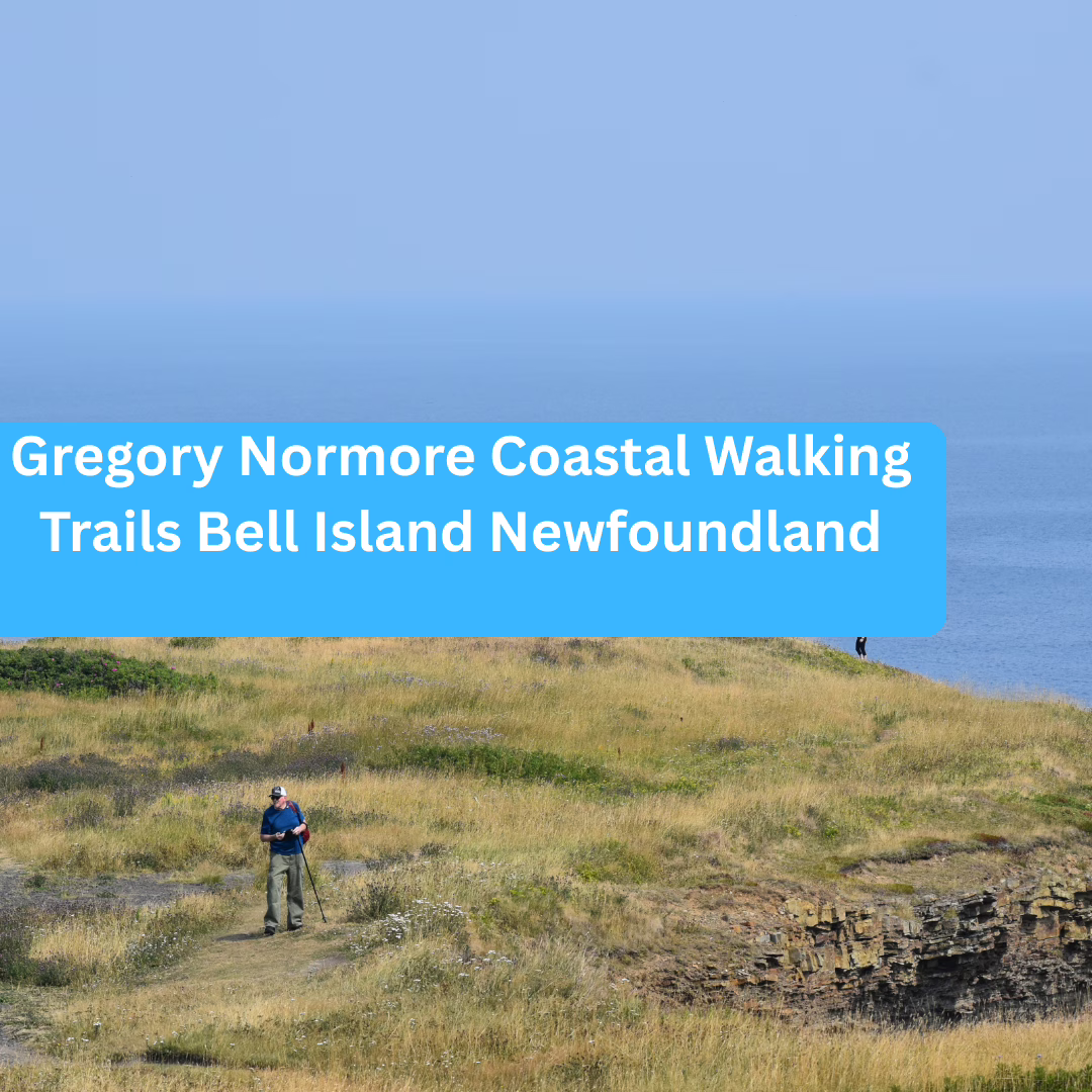 Gregory Normore Coastal Walking Trails Bell Island