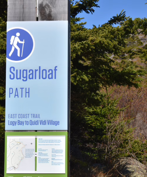 Sugarloaf Path East Coast Trail dramatic Atlantic Ocean cliffs, Logy Bay to Quidi Vidi, St. John's Newfoundland