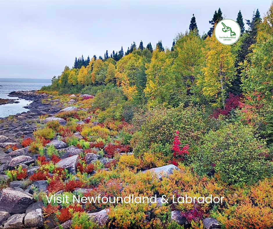 Return To Newfoundland Happy Place Hidden Autumn Magic