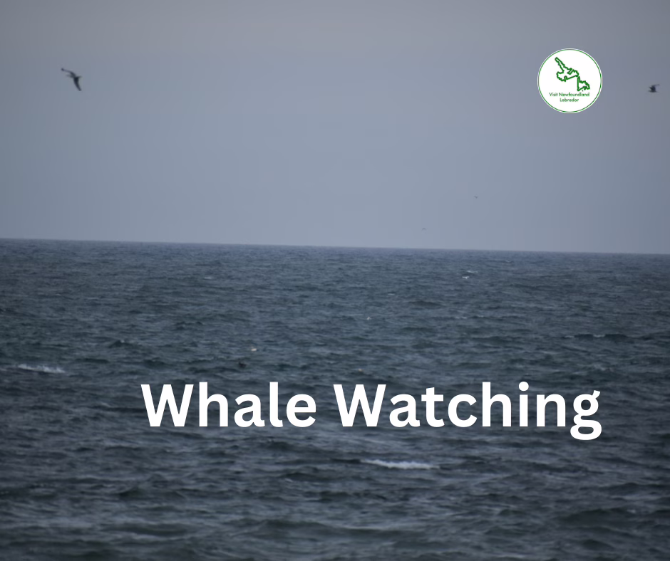 The Ferry Schedule from St. Barbe Newfoundland To Blanc-Sablon Quebec