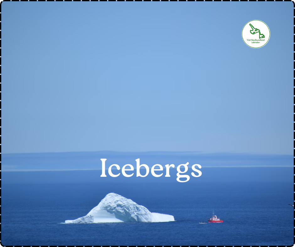 Revel in the City's Best-Kept Dining Secrets