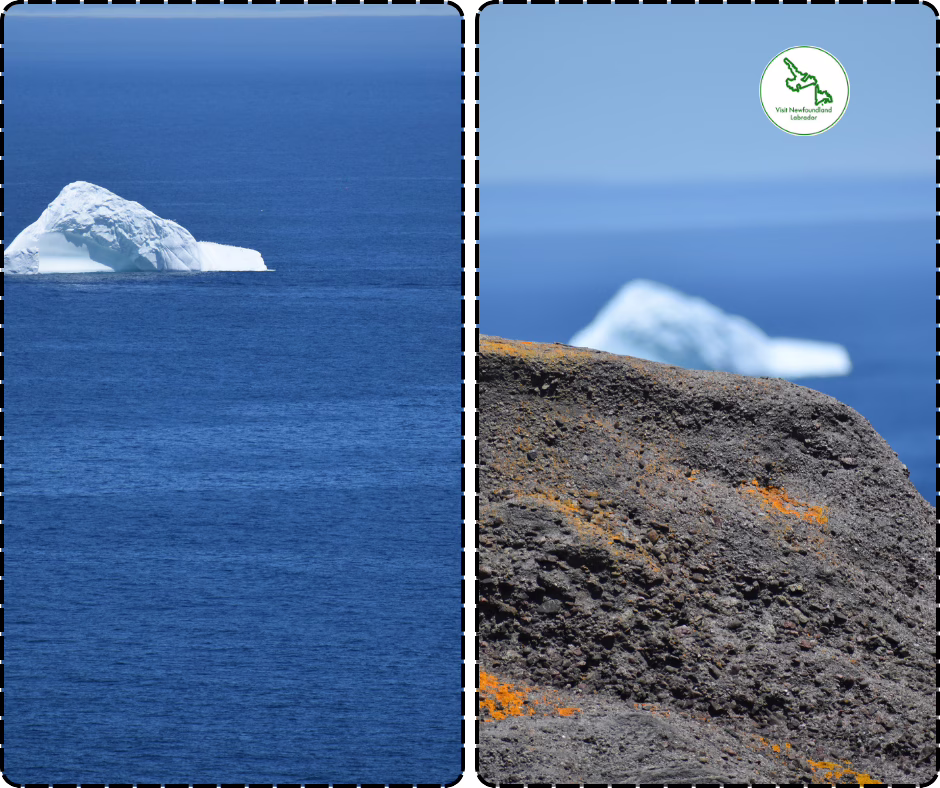 The Best Time for a Newfoundland and Labrador trip