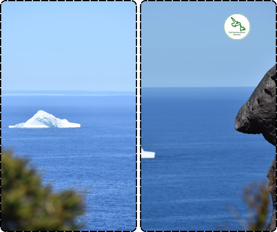 Iceberg Alley Adventure
Iceberg Watching in Newfoundland and Labrador. The best!