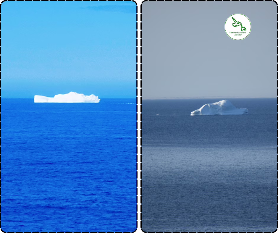 Experience Magic, Serenity, and Thrills in Central NL