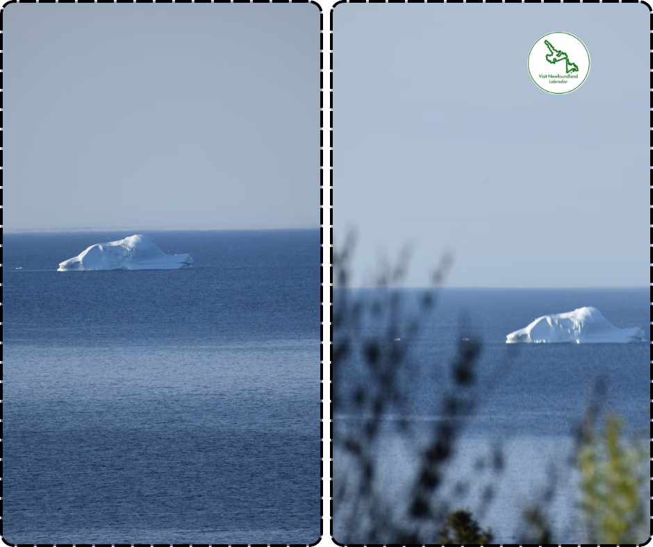 Things to Do in St. John’s
