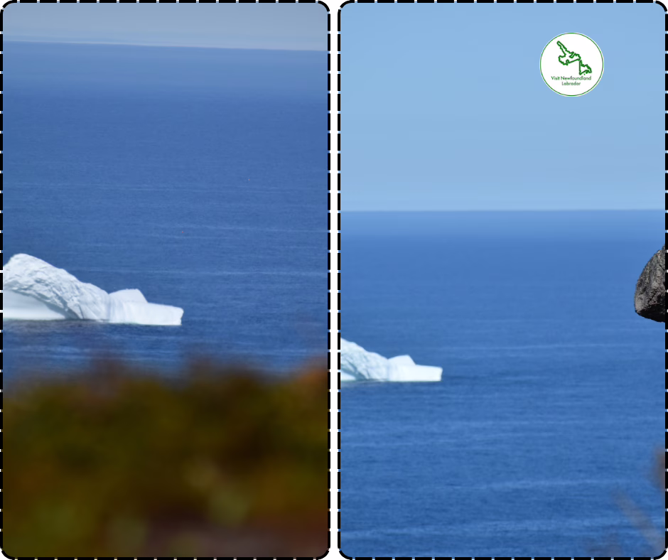 Experience Magic, Serenity, and Thrills in Central NL