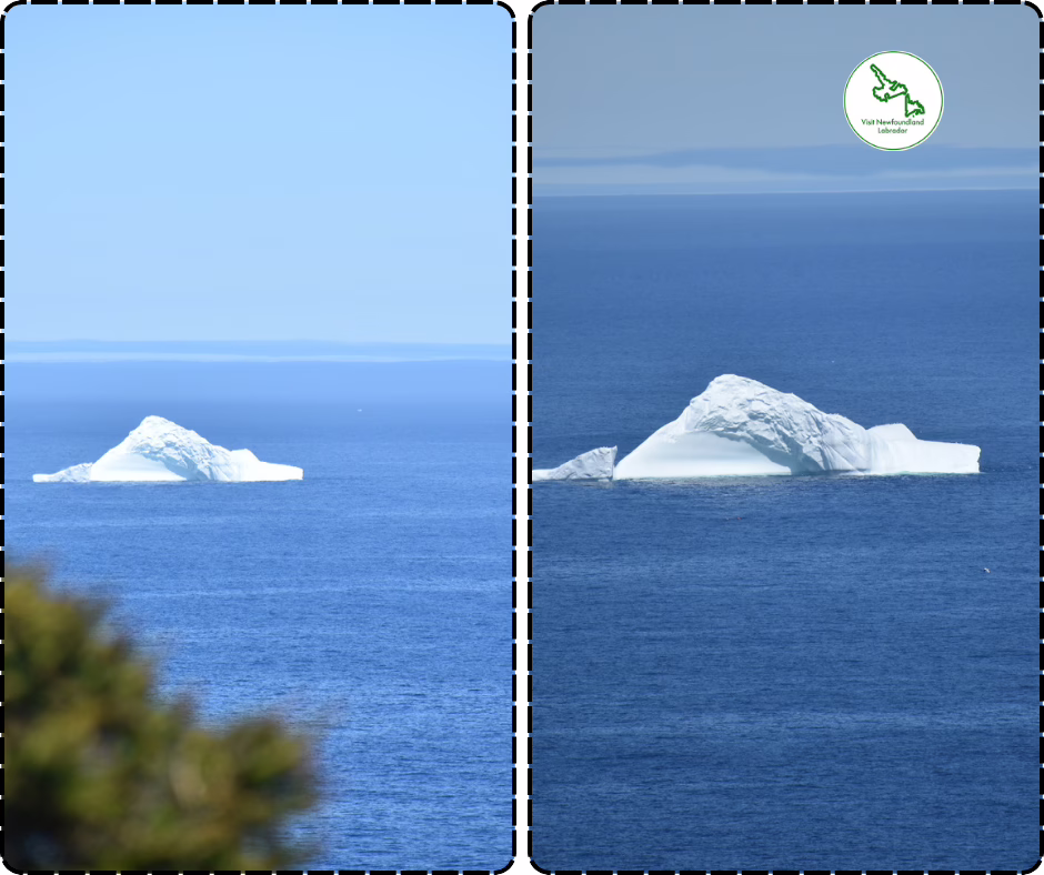 Exquisite Eateries That Will Captivate Your Taste Buds