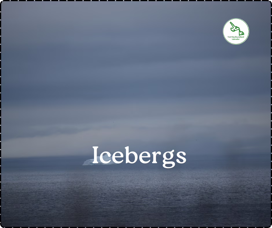 Remarkable Places to stay in Twillingate Newfoundland