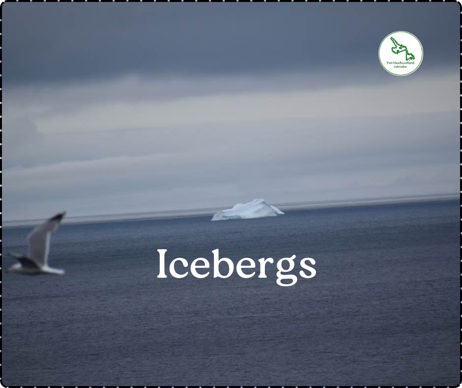 The best time to visit Newfoundland and have fun