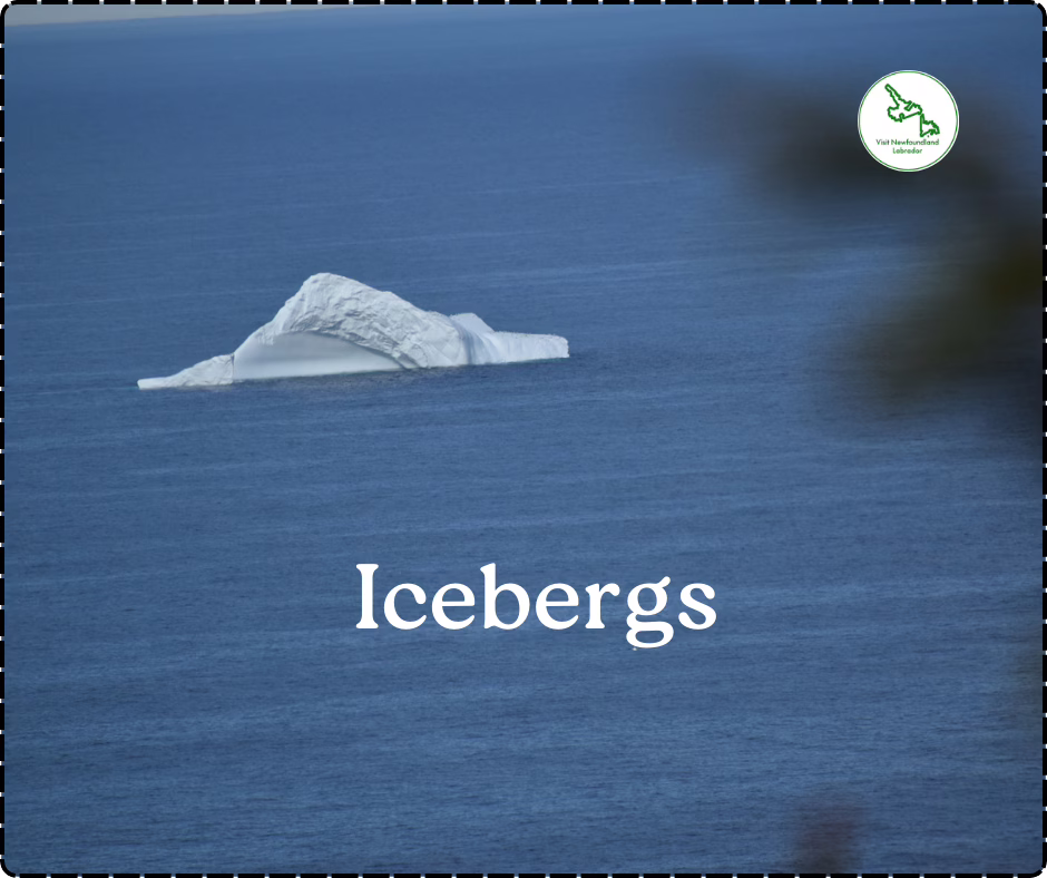 Flights to Newfoundland Are on Sale