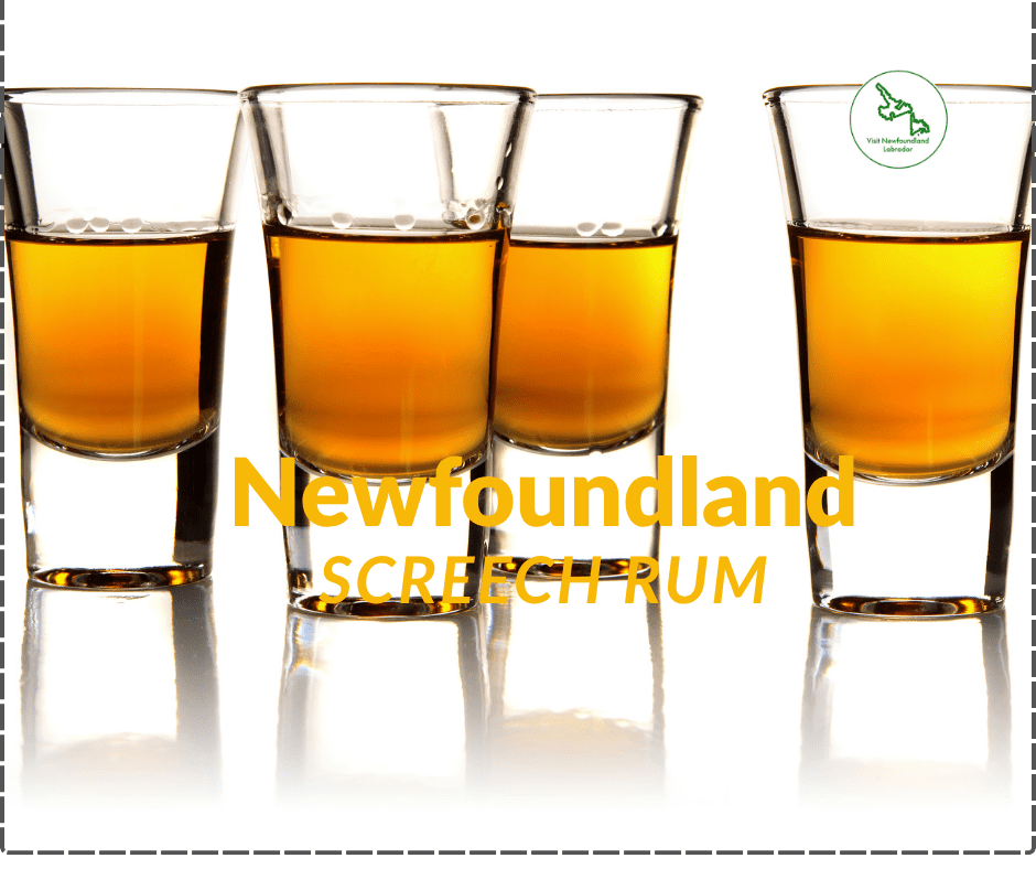 Newfoundland Screech Rum How To get screeched in and become an honorary Newfoundlander