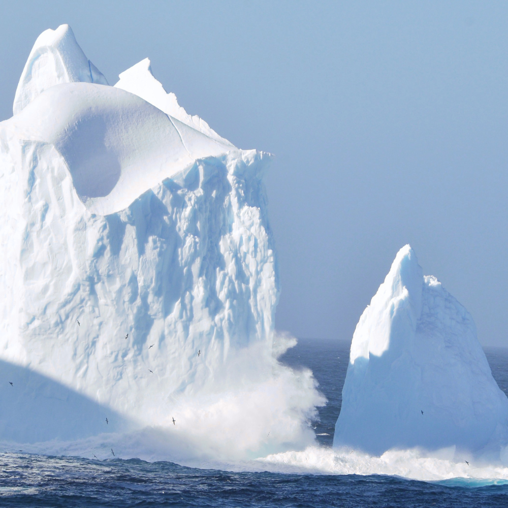 Icebergs Labrador Strait Belle Isle iceberg alley spring