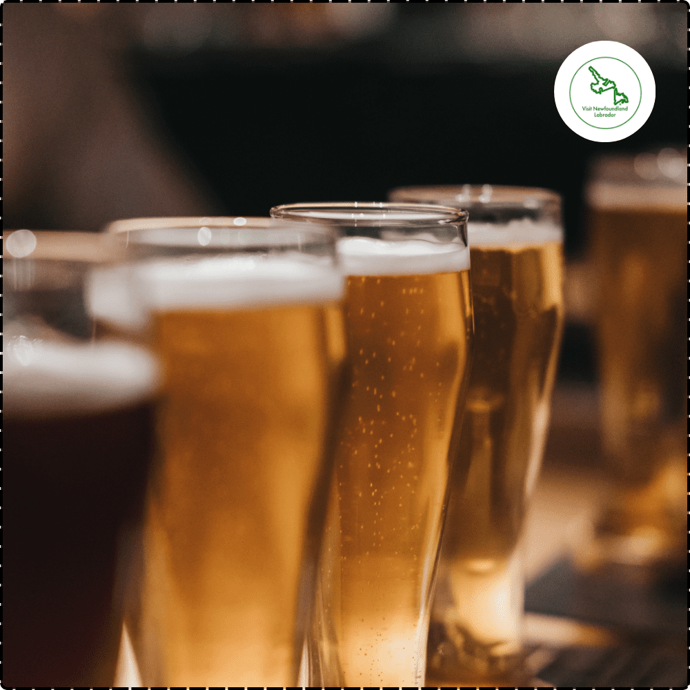 Port Rexton Brewery craft beer taproom Bonavista Peninsula