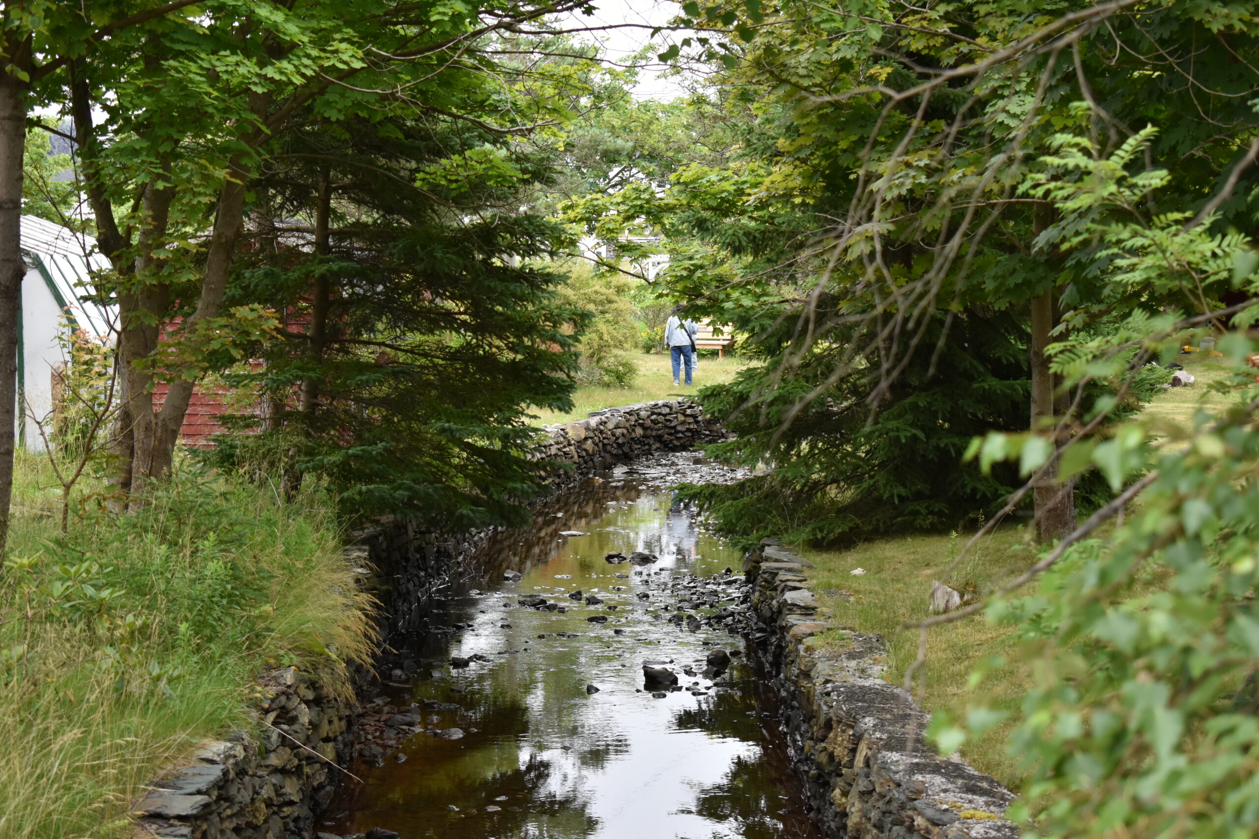 Brigus Blueberry Festival community event August Newfoundland