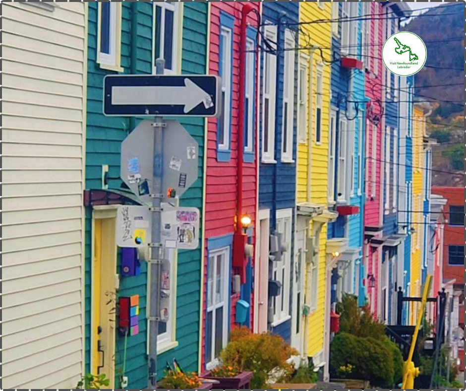 Jellybean Row St John's Walking Tours