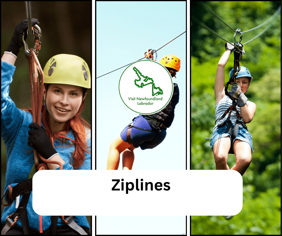 North Atlantic Ziplines