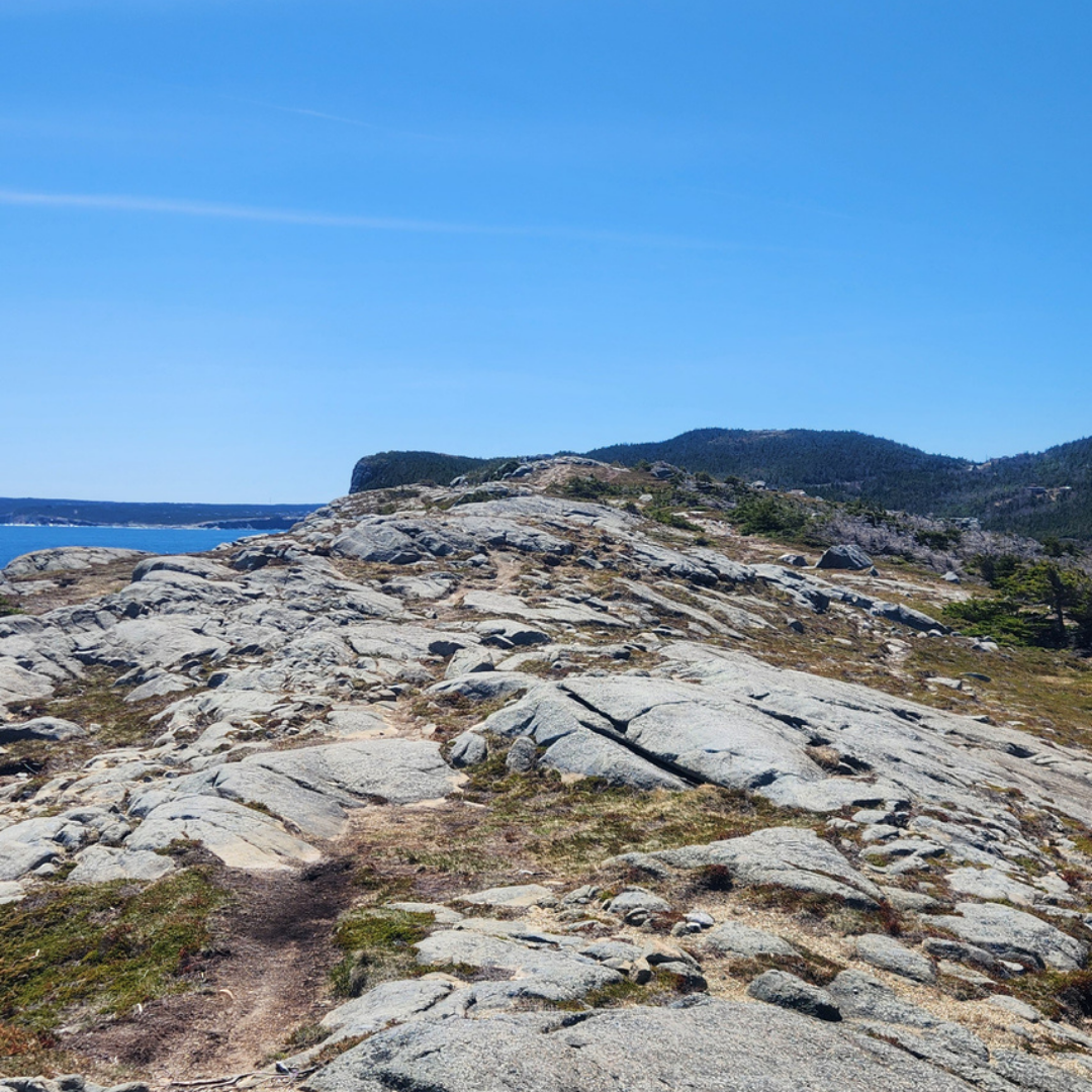 Avalon Peninsula coastal scenery