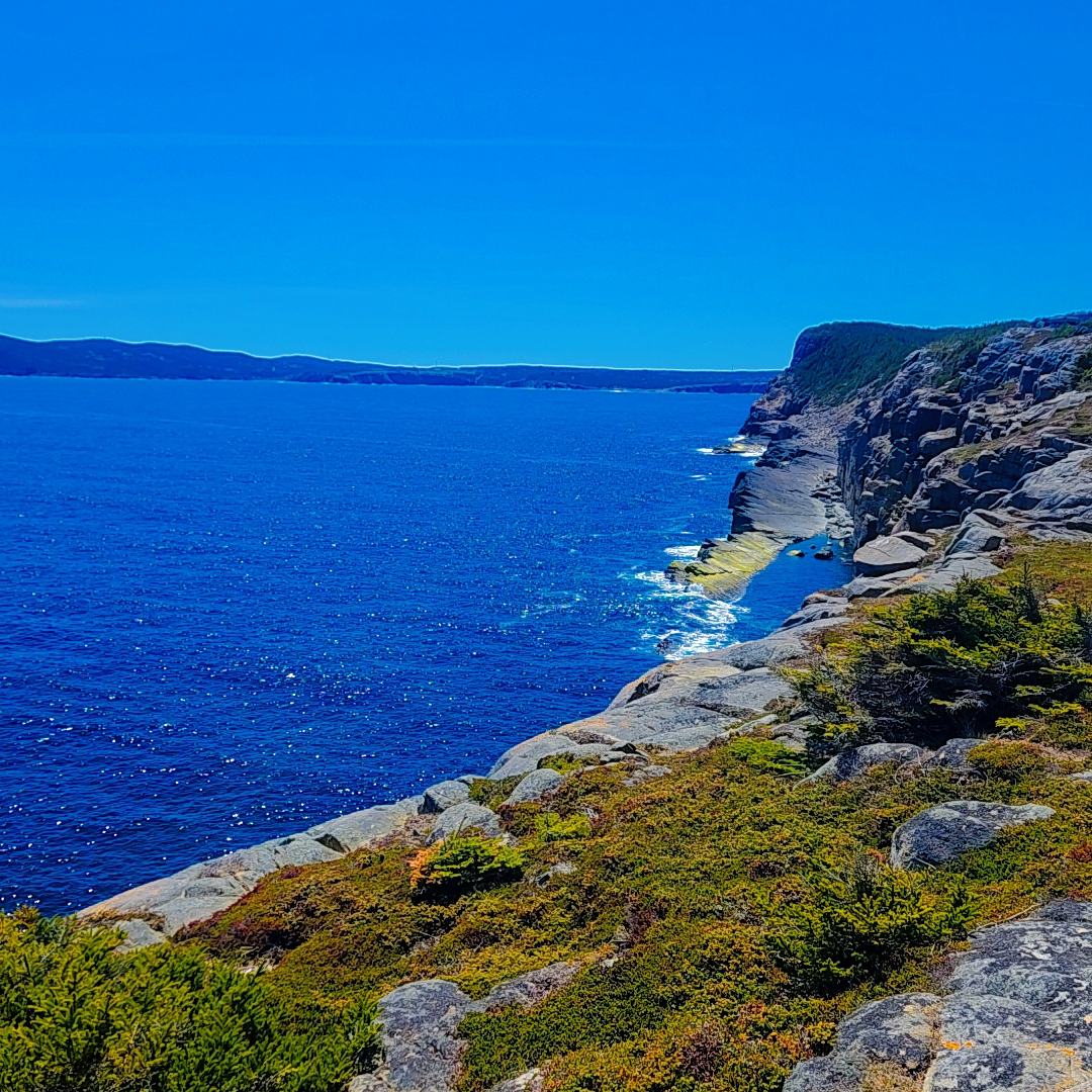Torbay coastal scenery near Father Troy's Trail