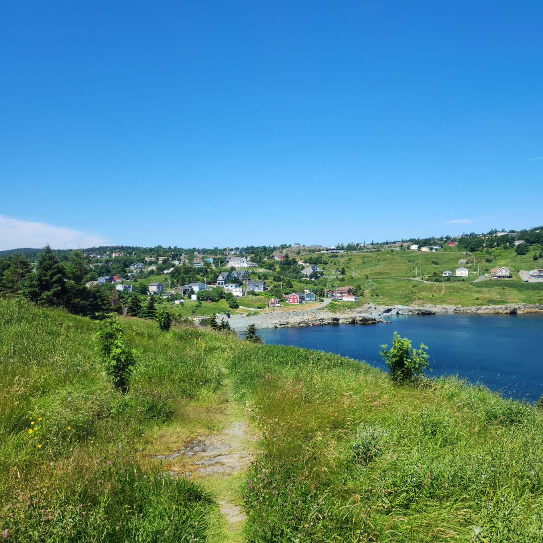 Middle Cove Beach at the northern end of the trail