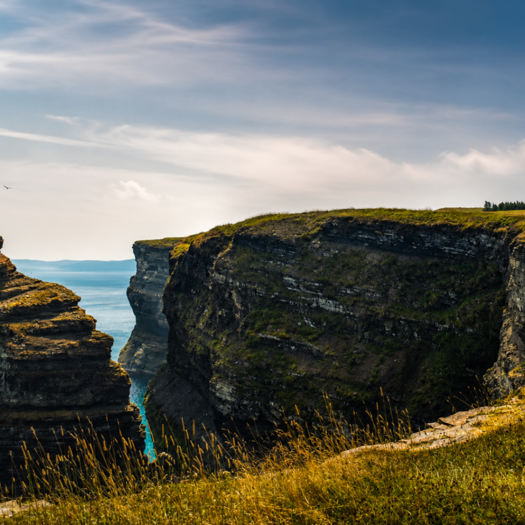 Coastal Newfoundland near St. John's Coastal Newfoundland near Bell island