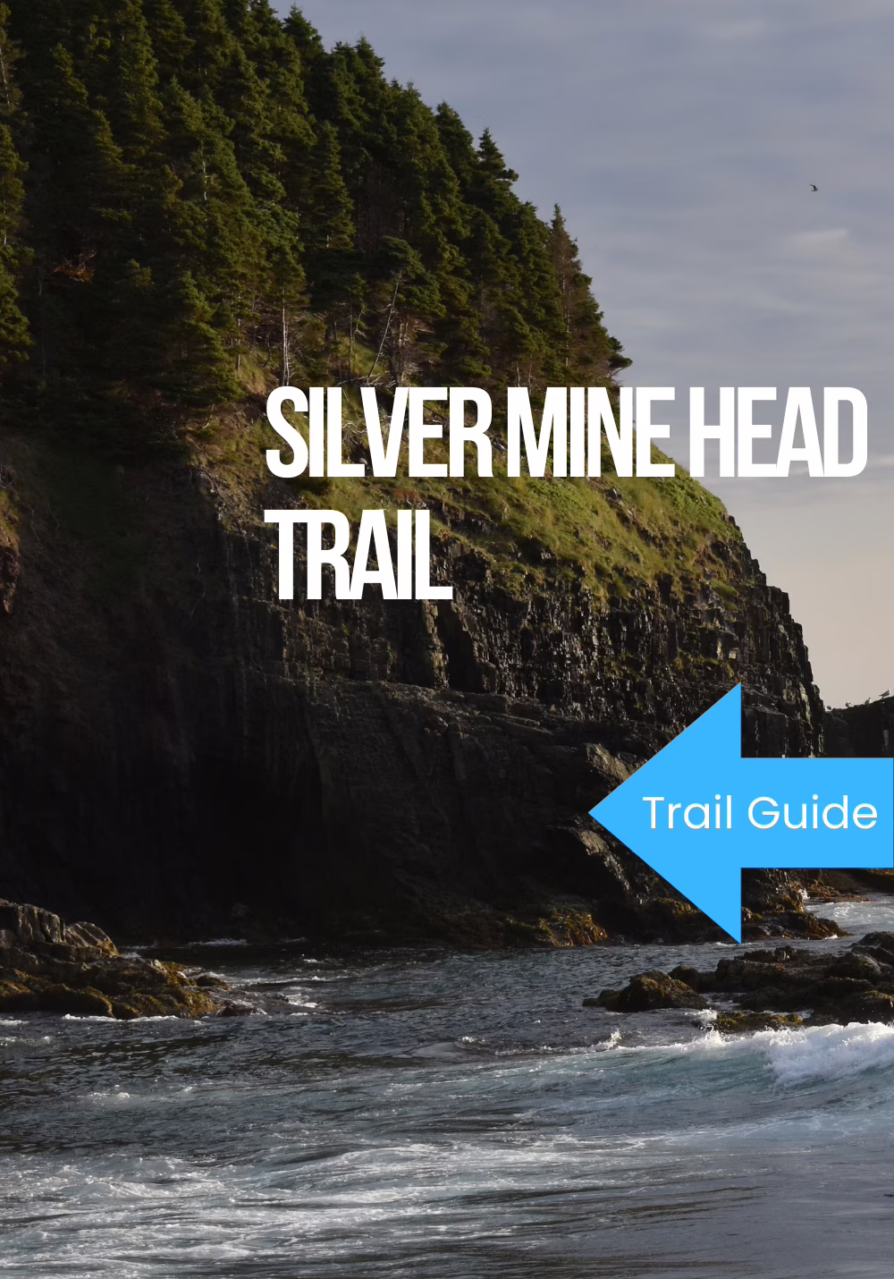 Silver Mine Head Trail Hiking Guide